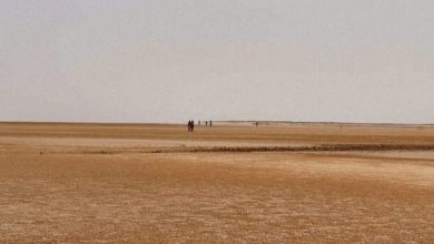 الاتحاد الأوروبي متواطئ في إلقاء المهاجرين في صحراء شمال إفريقيا