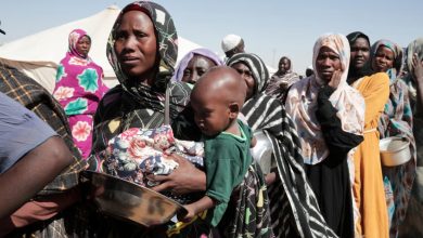 شكوى أمام الجنائية الدولية تتهم الإمارات ومنصور بن زايد بدعم مجزرة الفاشر